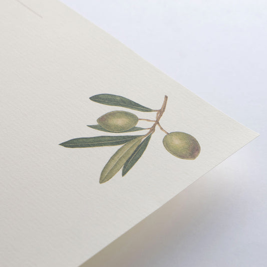 Letter set - Olea Europaea
