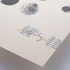 Card set STUDY of Vintages in k-tools